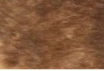 Genuine cow and sheep rug for sale ask for prices