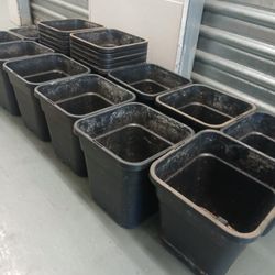 Plants Pots Total 20 Of Them😃🌿🌿🌿🪴🪴🪴🪴