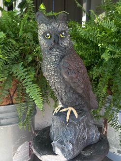 Beautifully detailed Garden Owl