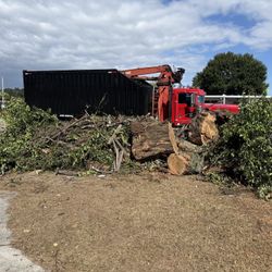 2001 kenworth T800 h grapple truck