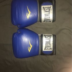 Ever Last Boxing Gloves