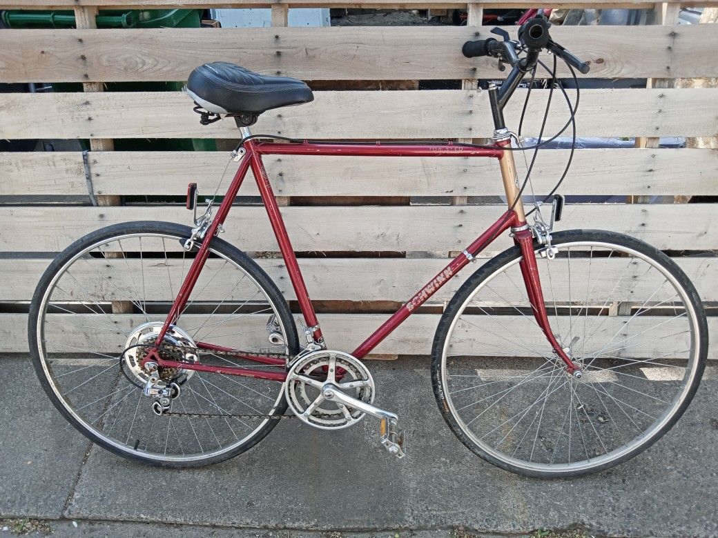 Schwinn Traveler 25" Road/Hybrid Bike 10-Speed 700x35C