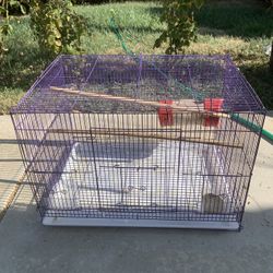 Bird Cage 