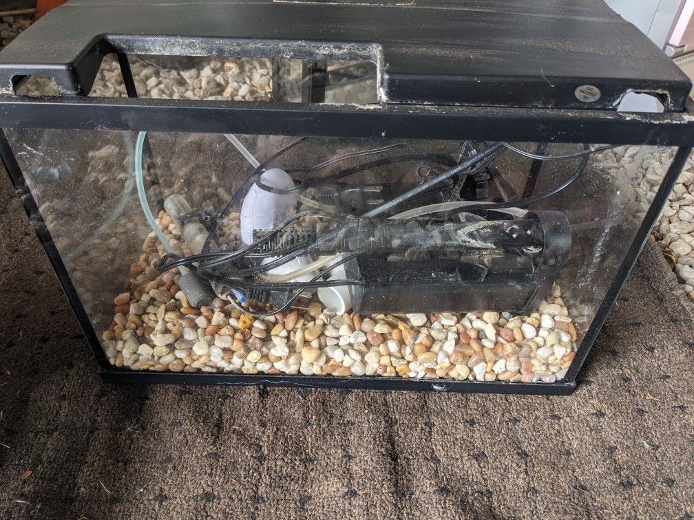 5 Gallon Fishtank