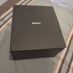 Sony Digital WH-H900N
