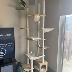 Cat Tower