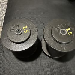 25lb Dumbbells 