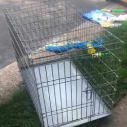 Large 42" Metal Dog Crate Cage Kennel. 50$ Firm