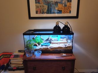 Trade for larger reptile enclosure!