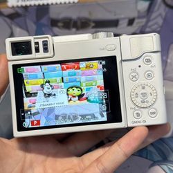 Panasonic TZ95 (ZS80)
