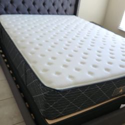 New queen mattress and box spring 2 pc bed frame is not included