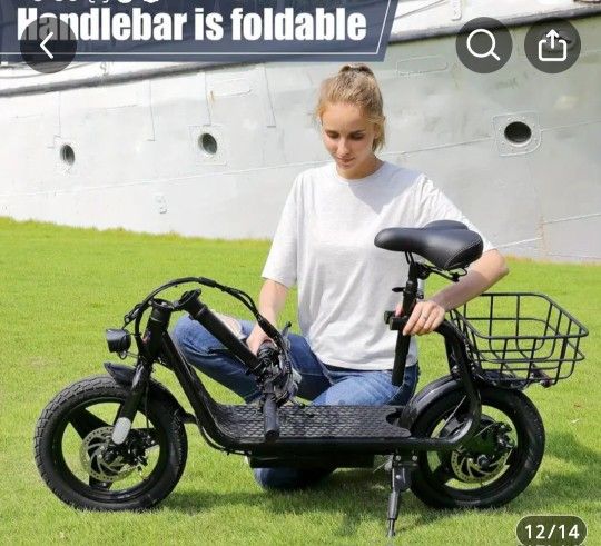 Electric Scooter