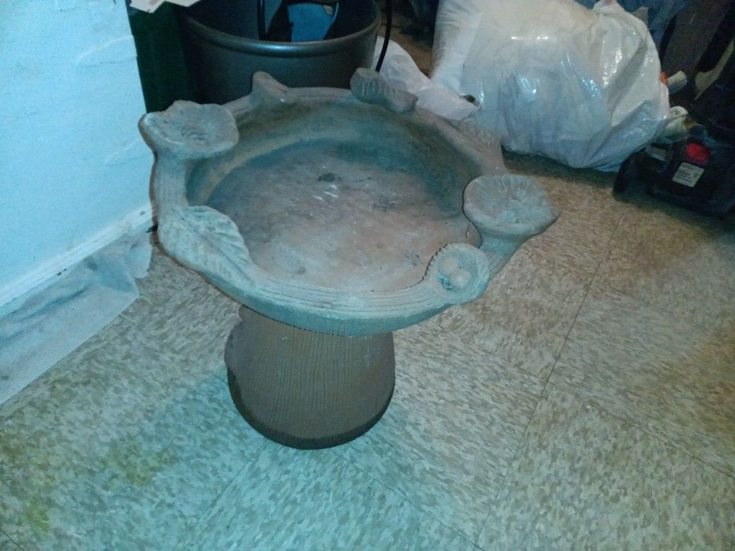 Bird Bath