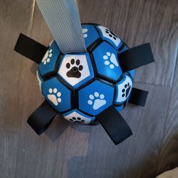 Dog Ball 