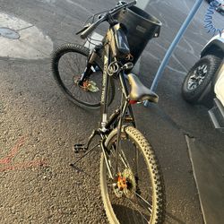 Mountain Bike For Sale $300