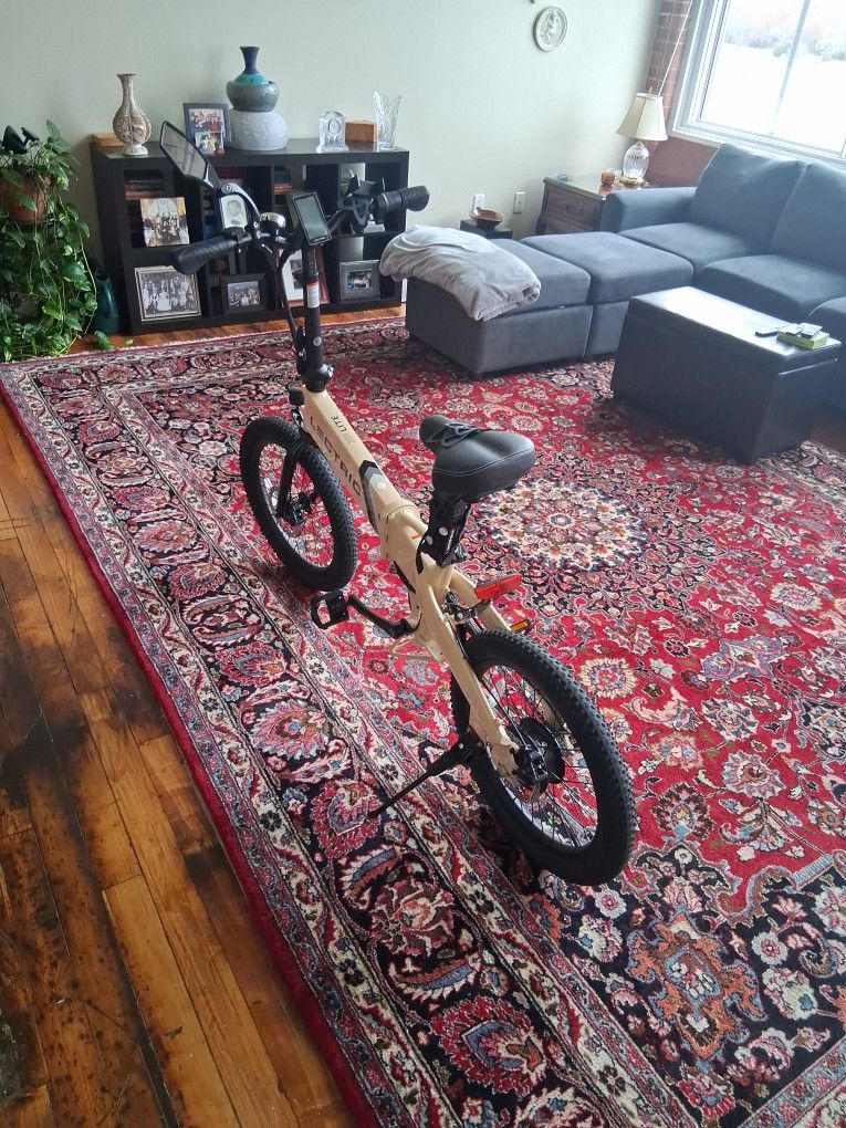 Lectric Bike