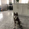 Steven