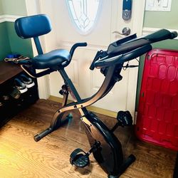 Seated Bike With Pulleys