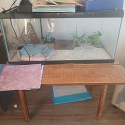 Complete Reptile Set-up