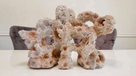 Aquarium Coral Decor