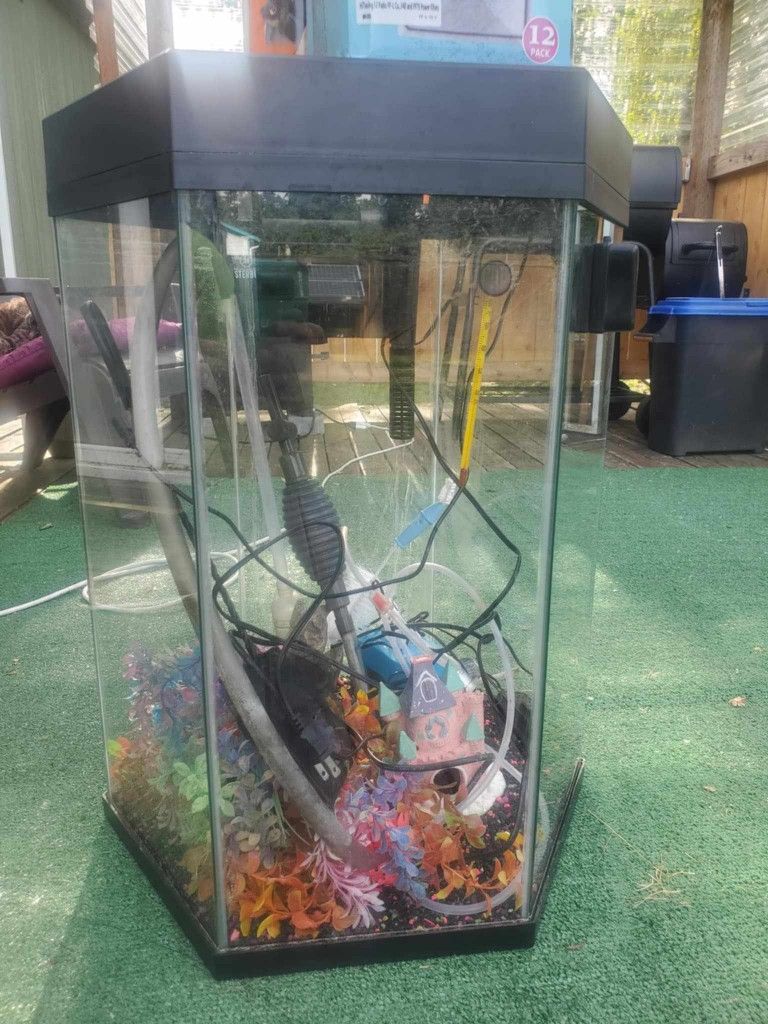 Aquarium For Fish
