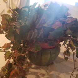 Decorative Artificial Green Leaves Plants. With Ceramic Roun Pot.Woodland Hills,Ca 