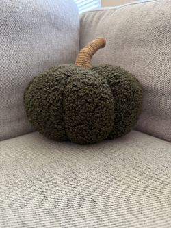 Pottery Barn Small Pumpkin Pillow Green 