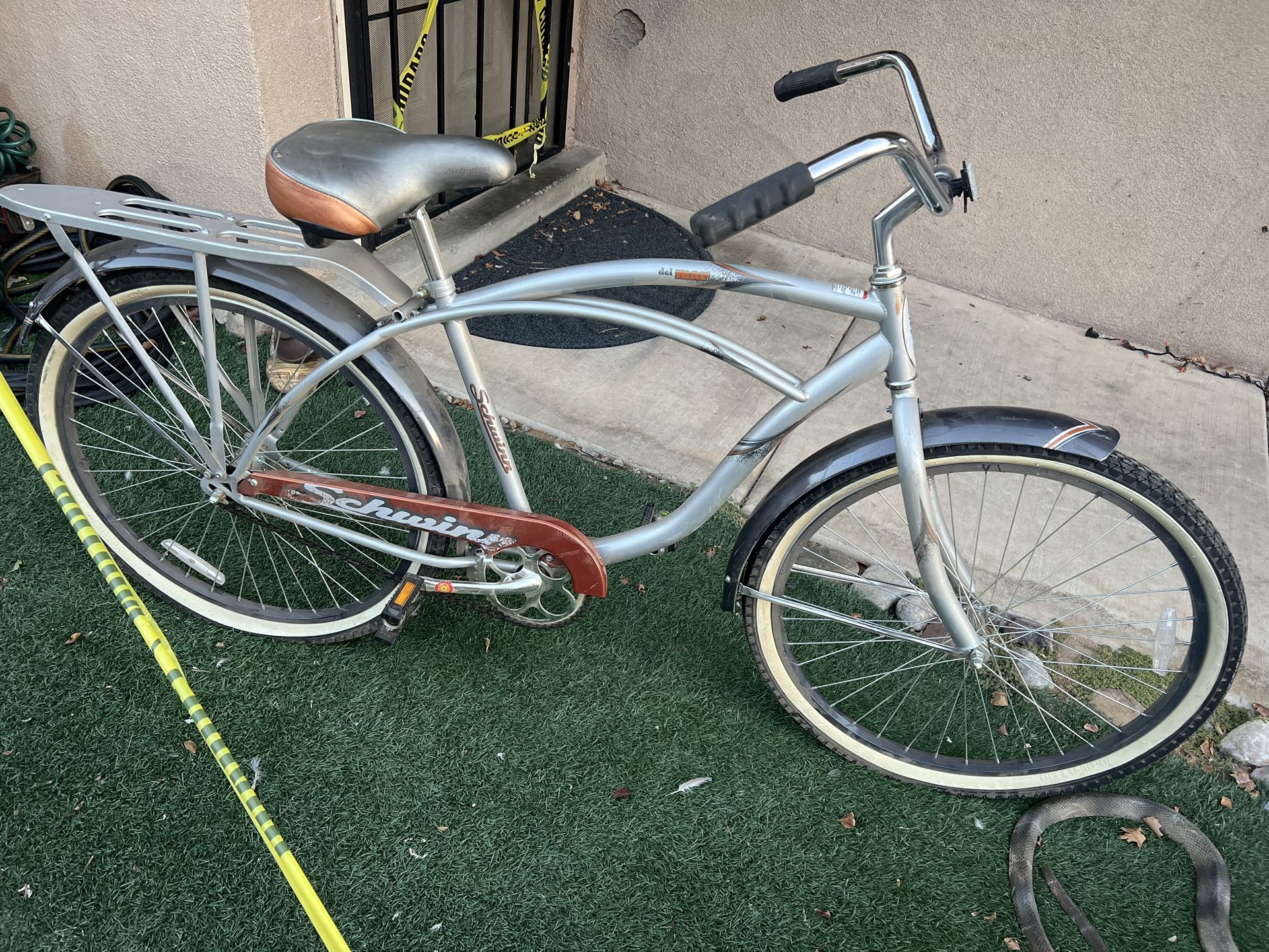 Schwinn Cruiser