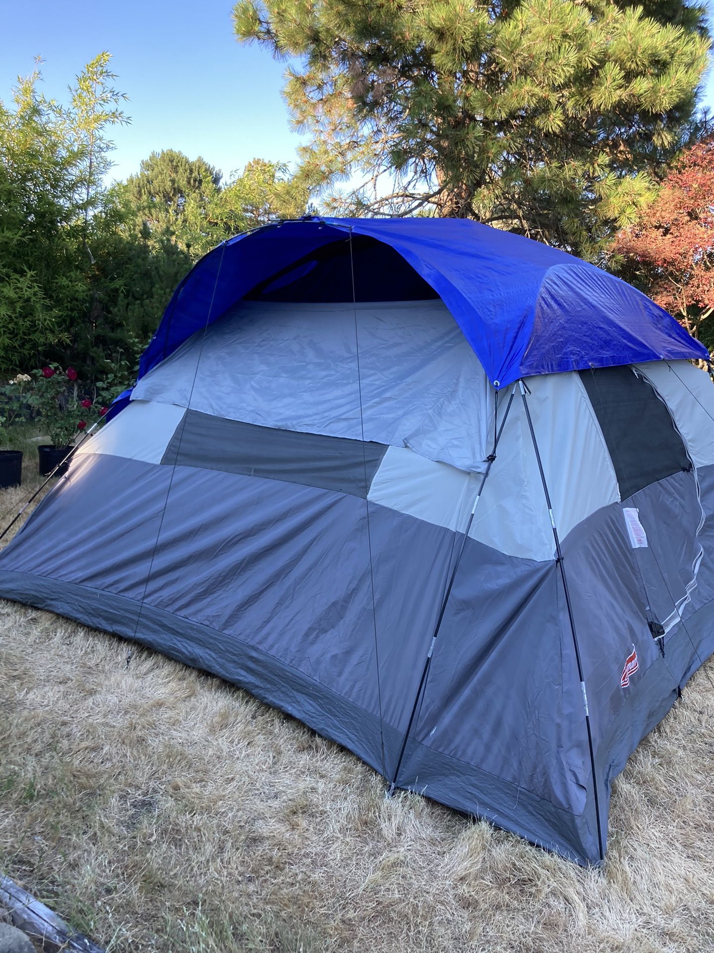Coleman 10 Person Tent (11' X 12') for Sale in Tacoma, WA - OfferUp