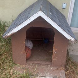 Dog House 