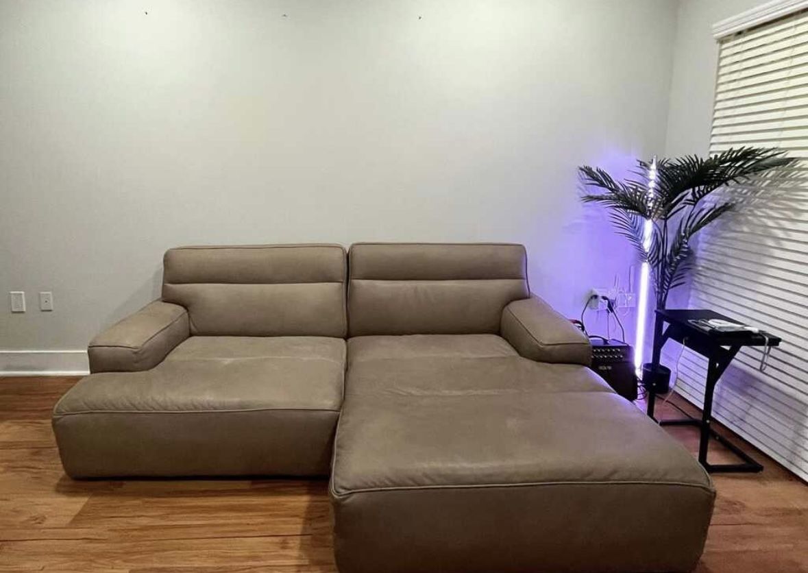 Leather Couch