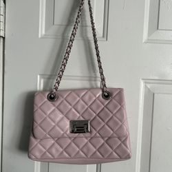 Aldo purse
