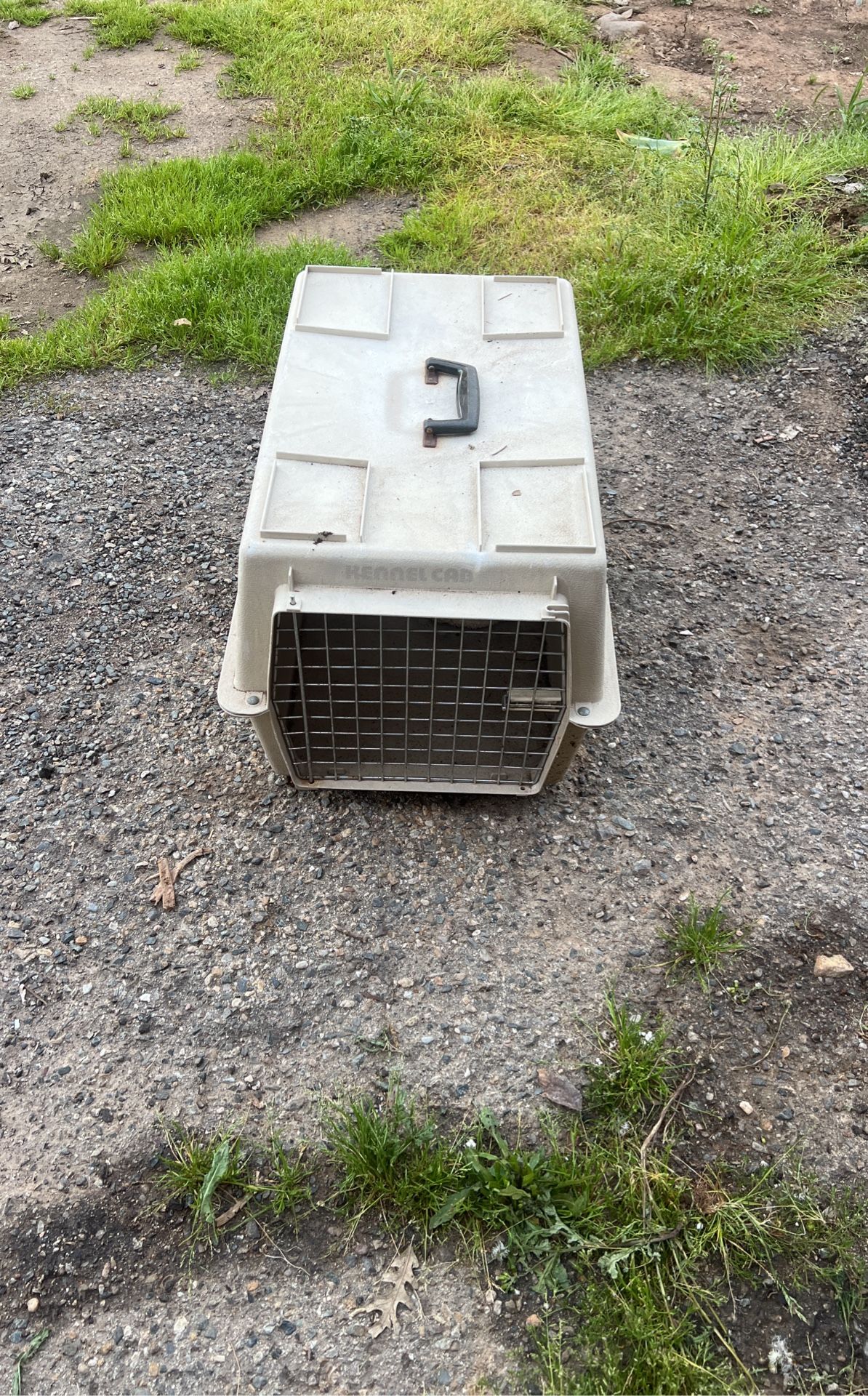 Cat/dog Cage