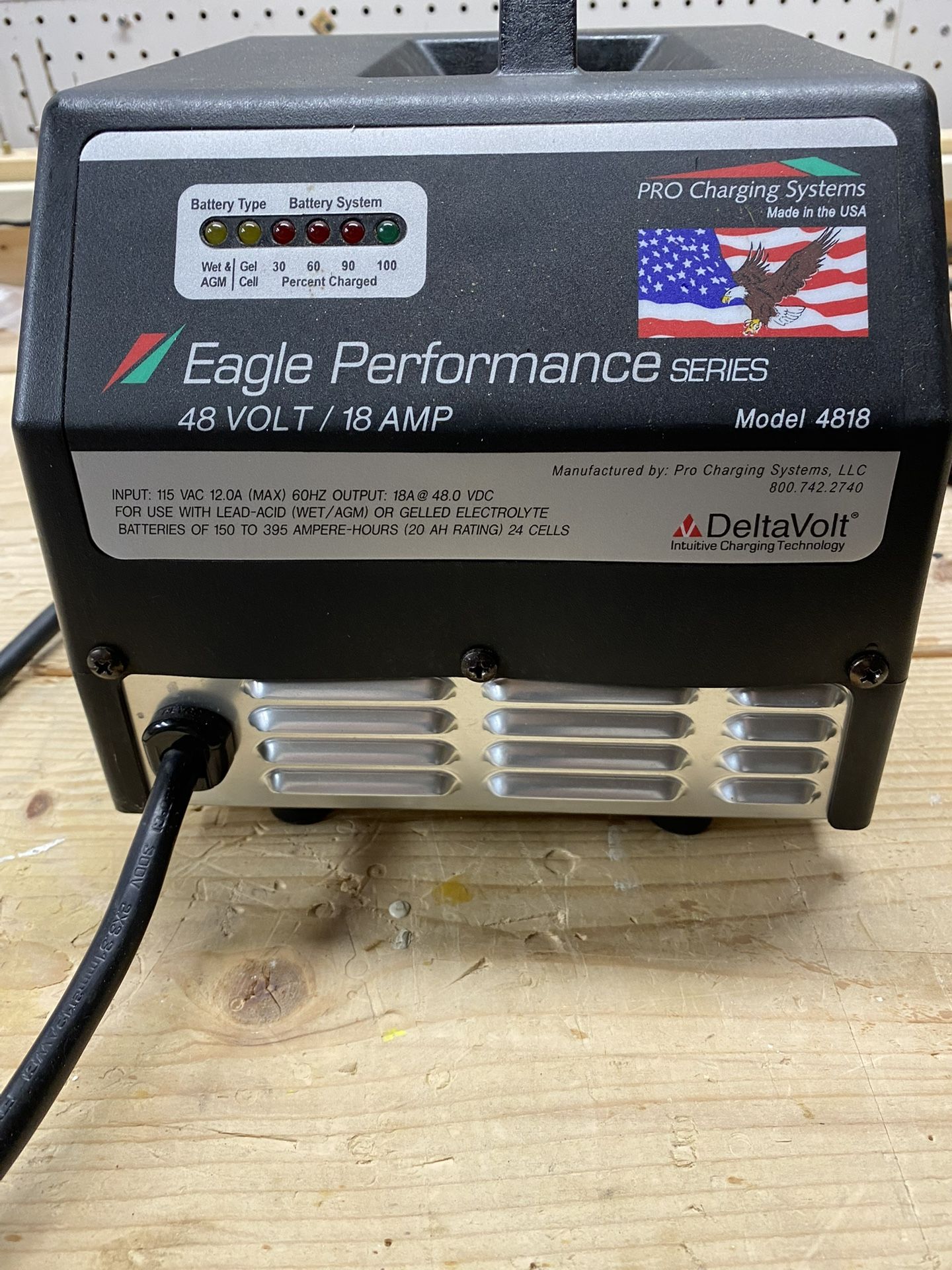 Eagle Performance Battery Charger 48 V