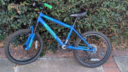 Boys 20" Bike