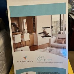 CAT SHELVES