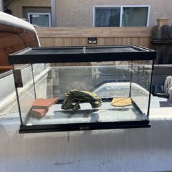 Reptile Tank & Turtle Accessories 