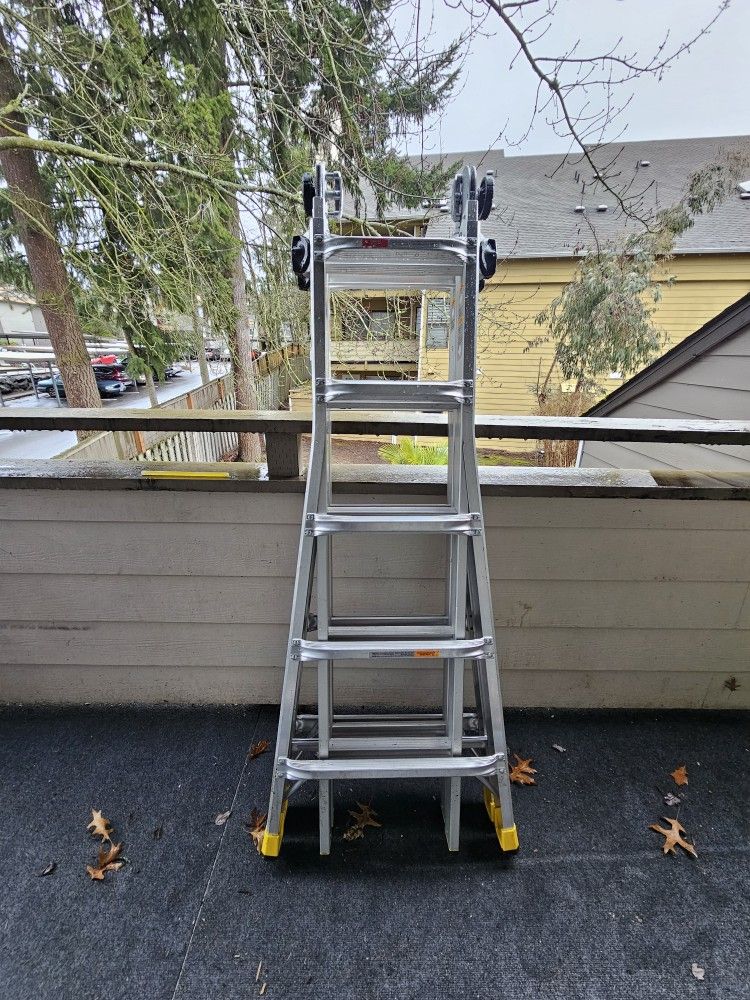 22 ft. Gorilla Ladder