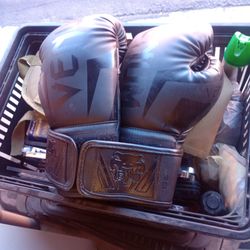 10 oz. & 12 oz. Venum Boxing Gloves 