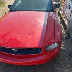 2007 Ford Mustang(fully intact!!)