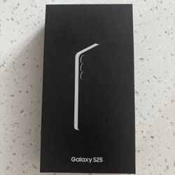 Galaxy S25 