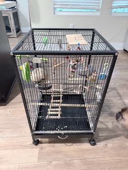 Bird cage on wheels