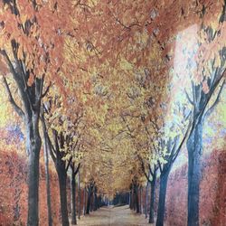 Shower Curtains And Hooks