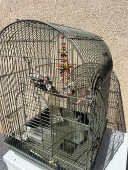 Birdcage