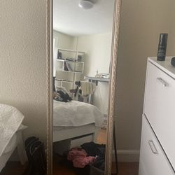 Full Length Mirror 68 x 18