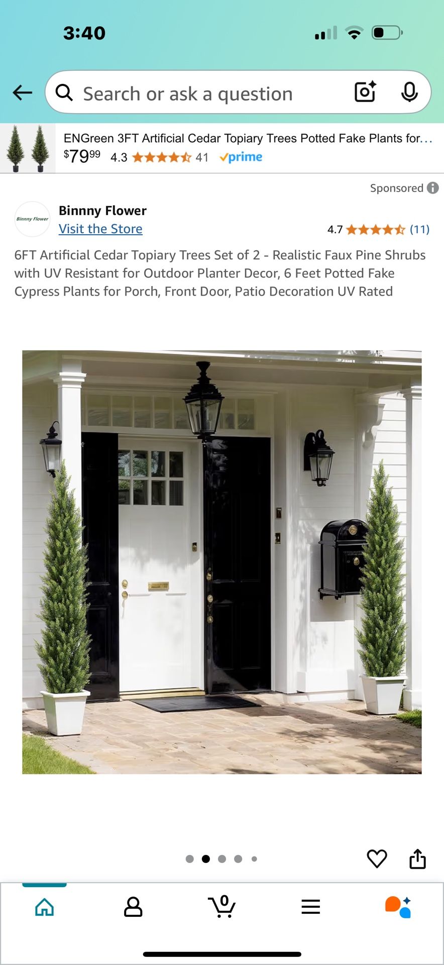 Topiary Trees 6ft