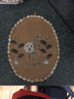 Beautiful sea shells wall hanging