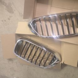 Bmw Front Grill.  