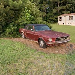 1967 Ford Mustang