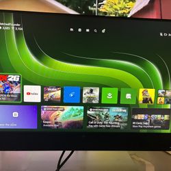 Hp Monitor With Camera 